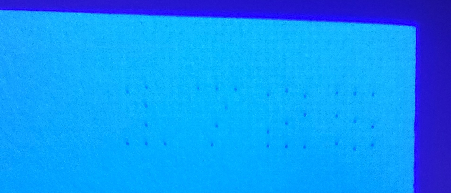 20211214_171917.jpg