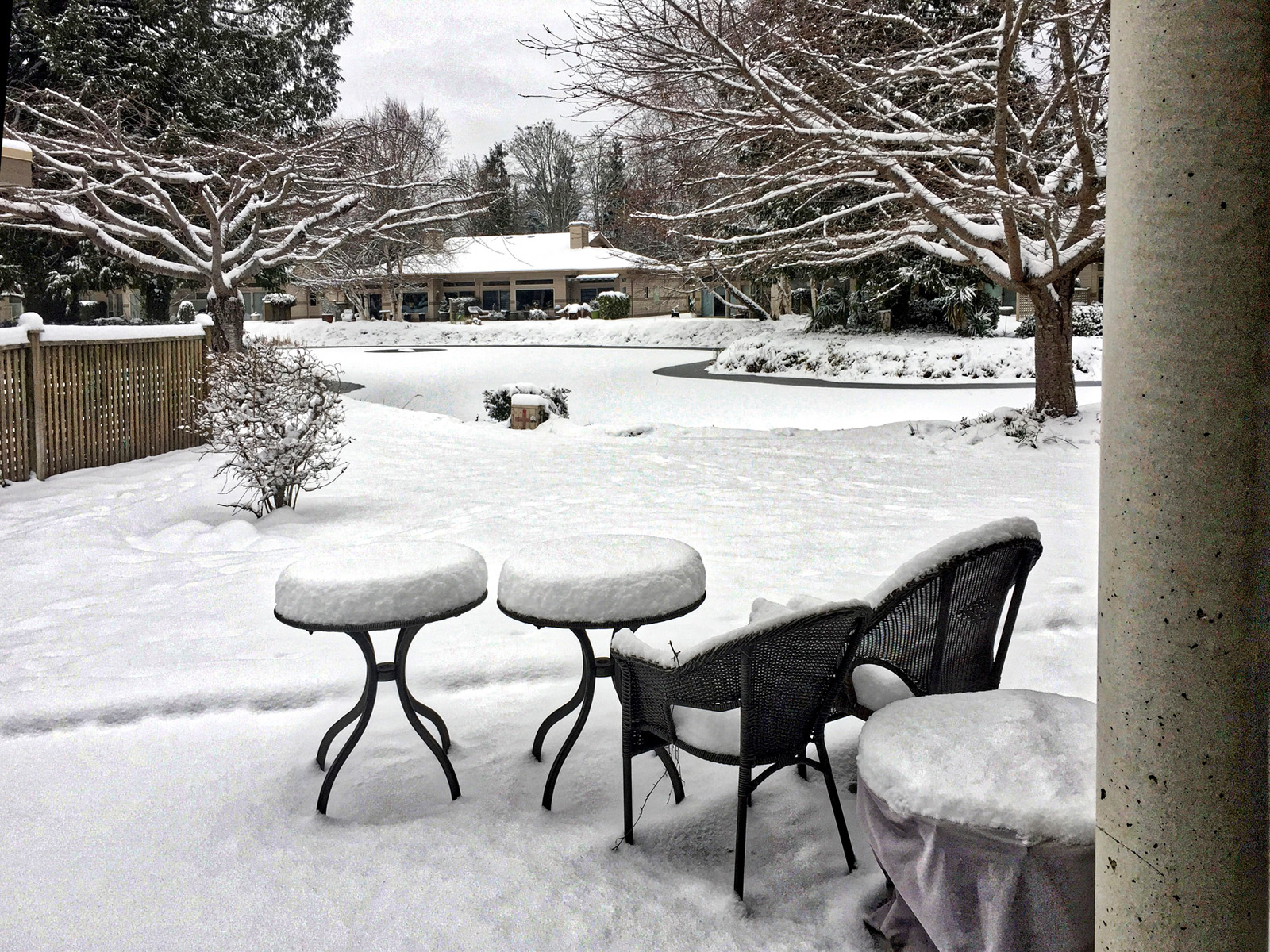 Backyard.jpeg