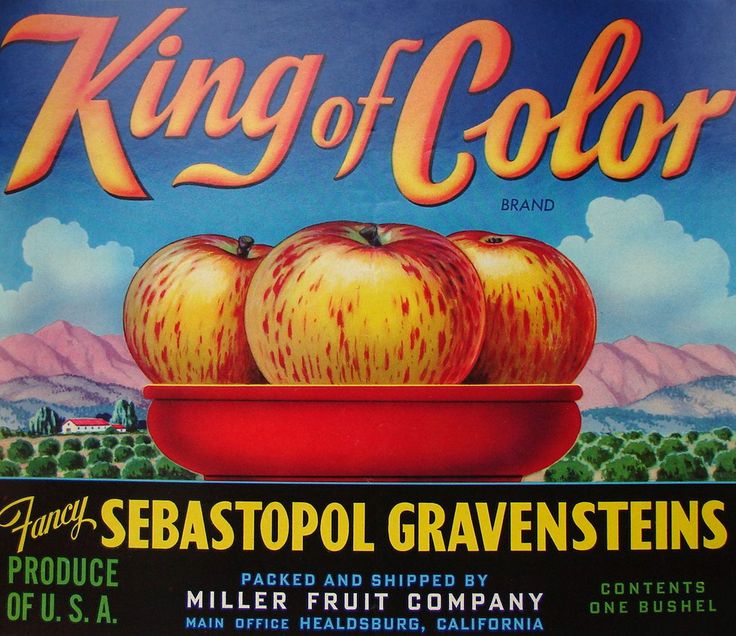 King Color.jpg