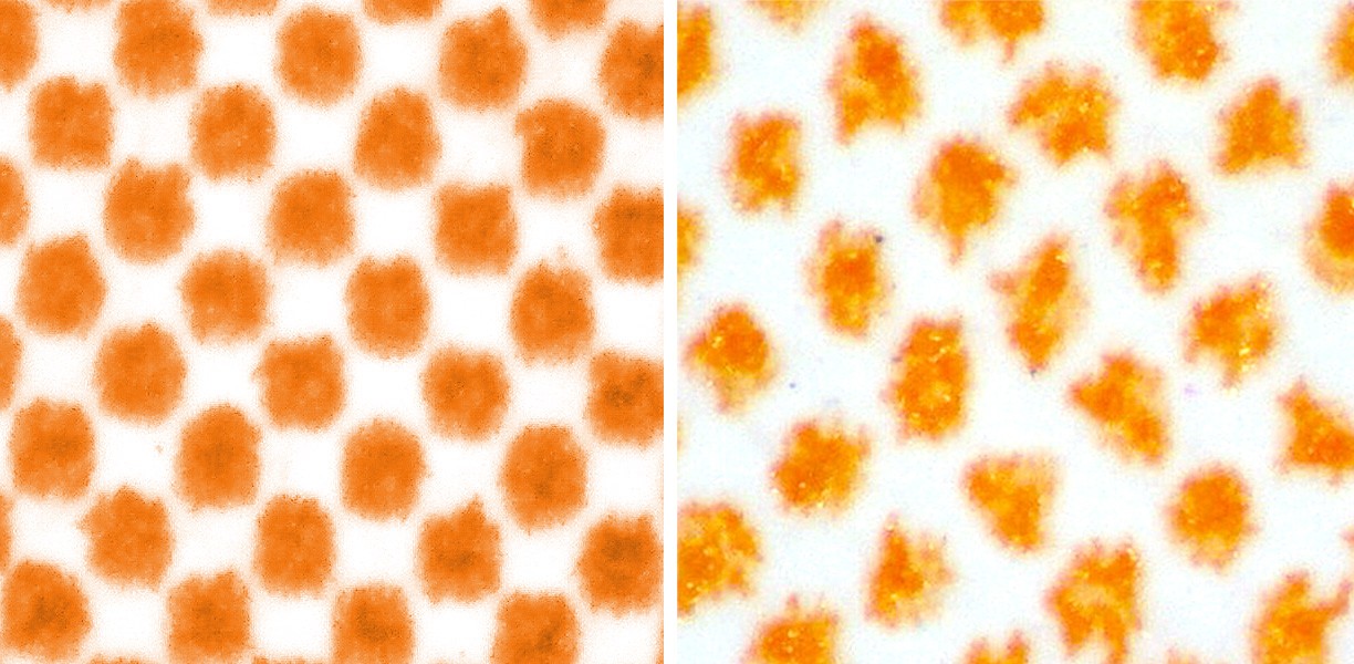 Orange screens compared.jpg