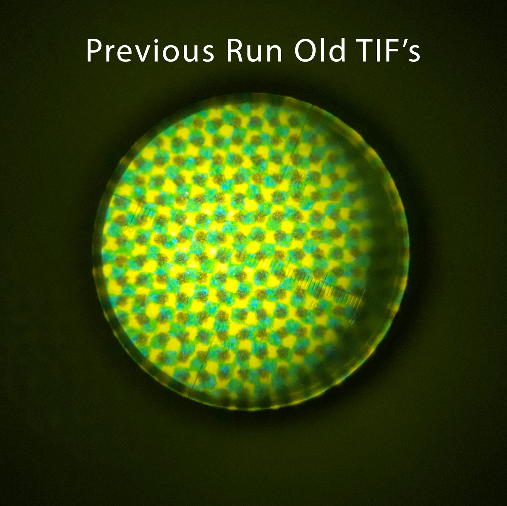 previous---old-tif.jpg