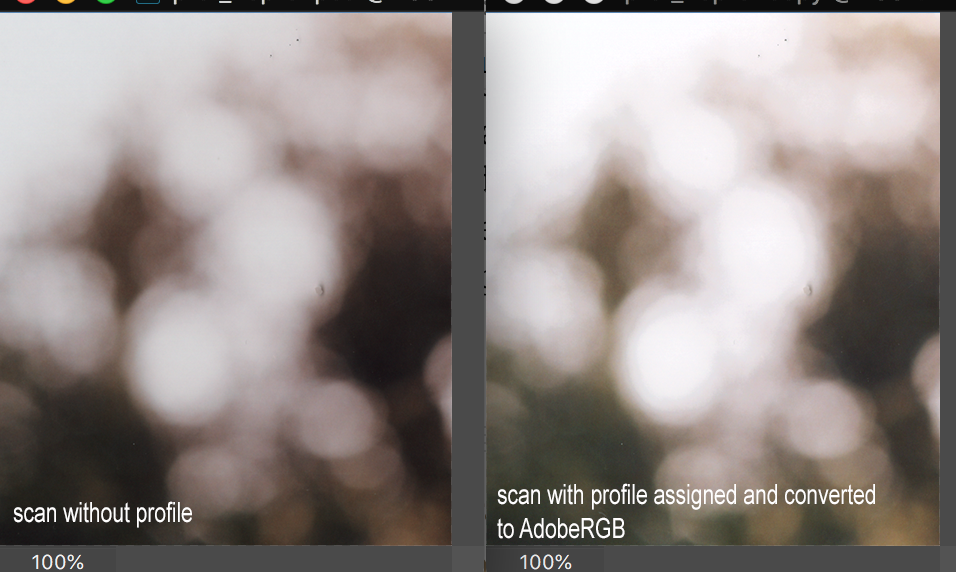 Screen Shot 2019-02-01 at 16.49.15.png