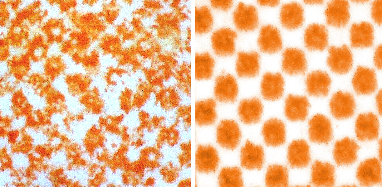 two oranges.jpg