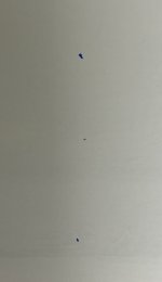 spot_03.jpg