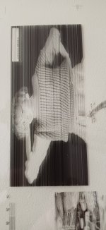 photo1.jpg