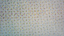 20250805_092442_640.png