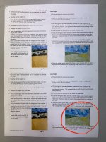 IMG_7014.jpeg