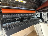 IMG_4553.jpeg