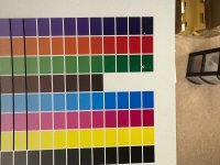 IMG_4556.jpeg
