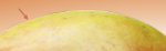 Screen Shot 2012-05-16 at 12.34.48 PM.png
