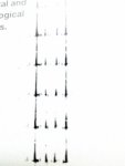 tracks2.jpg