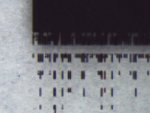 Closeup.jpg