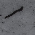 Dry sheet rub on to white.jpg