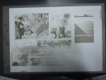 DSCN4707.jpg