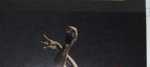 Picture 2.png