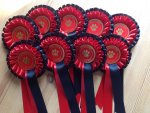 k9-rosettes.jpg