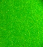 IMG_20170527_135553.jpg
