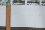 photo7273.png