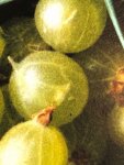 IMG-20180302-WA0004.jpg