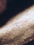 IMG-20180302-WA0001.jpg