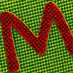 photo8383.png