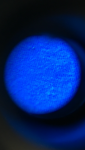photo8764.png