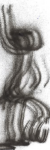 photo8801.png