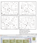 Screen Shot 2020-04-21 at 10.56.47 AM.png