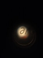 IMG_20201019_190643448.jpg
