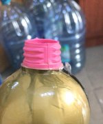 IMG_20201031_115511.jpg