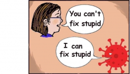 fDu4TKj.png