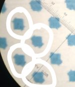 1623416398141.jpg