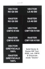 ricoh9100-issue (2).jpg