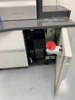 IMG_4999.jpeg