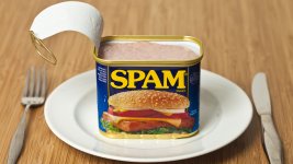 spam.jpg