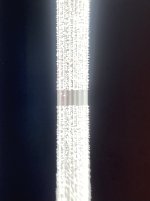 IMG_4644.jpg