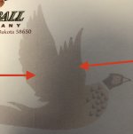 image1.jpeg