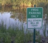 frogs.jpg