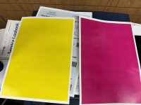 IMG_8315.jpeg